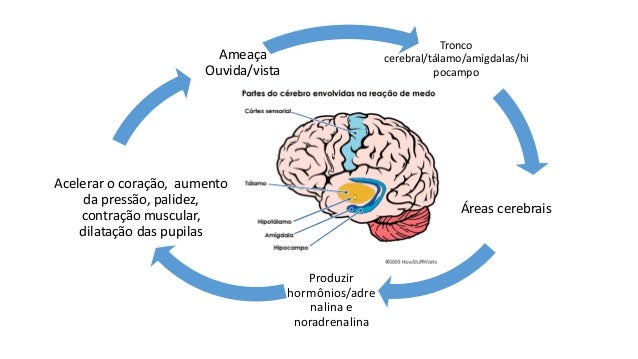 Palestra sobre medo