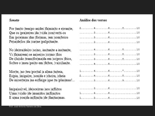 Prof. José Antonio Ferreira da Silva
 