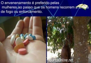 O envenenamento é preferido pelas
mulheres,ao passo que os homens recorrem a armas
de fogo ou enforcamento.
 
