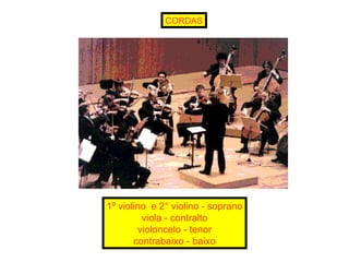 CORDAS 1º violino  e 2° violino - soprano viola - contralto violoncelo - tenor contrabaixo - baixo 