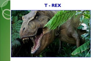 T - REX
 