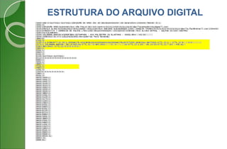 ESTRUTURA DO ARQUIVO DIGITAL
 