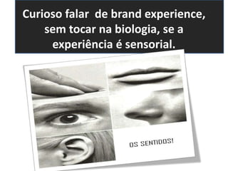 Curioso falar de brand experience,
sem tocar na biologia, se a
experiência é sensorial.
 