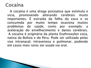 A cocaína é uma droga psicoativa que estimula e
vicia, promovendo alterando cerebrais muito
importantes. É extraída da folha da coca e se
consumida por muito tempo ocasiona muitos
problemas de saúde, como por exemplo: a
aceleração do envelhecimento e danos cerebrais.
A cocaína é originária da planta Erythroxylon coca,
nativa da Bolívia e do Peru. Pode ser utilizada pelas
vias intranasal, intravenosa e pulmonar, podendo
em casos mais raros ser usada via oral.
 