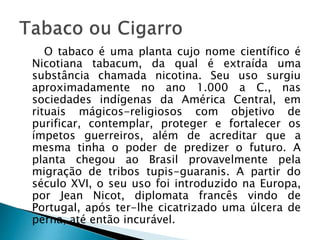 O tabaco é uma planta cujo nome científico é
Nicotiana tabacum, da qual é extraída uma
substância chamada nicotina. Seu uso surgiu
aproximadamente no ano 1.000 a C., nas
sociedades indígenas da América Central, em
rituais mágicos-religiosos com objetivo de
purificar, contemplar, proteger e fortalecer os
ímpetos guerreiros, além de acreditar que a
mesma tinha o poder de predizer o futuro. A
planta chegou ao Brasil provavelmente pela
migração de tribos tupis-guaranis. A partir do
século XVI, o seu uso foi introduzido na Europa,
por Jean Nicot, diplomata francês vindo de
Portugal, após ter-lhe cicatrizado uma úlcera de
perna, até então incurável.
 