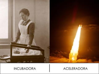 INCUBADORA ACELERADORA
 
