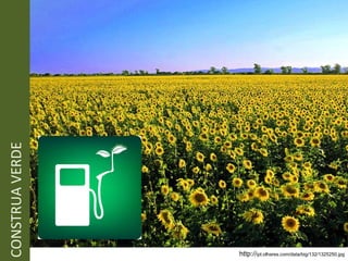 CONSTRUA VERDE http:// ipt.olhares.com/data/big/132/1325250.jpg 