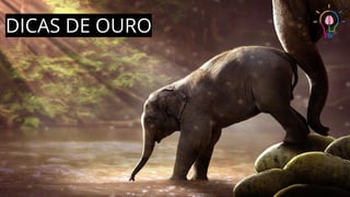 DICAS DE OURO
 