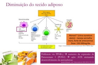 Polifenois via PPAR-γ  aumento da expressão de
Paraoxonase 1 (PON1)  ação AOX atenuando
desenvolvimento da aterosclerose
Jasmin Khateeb et al. Atherosclerosis 208 (2010) 119–125
Diminuição do tecido adiposo
https://www.hindawi.com/journals/ijvm/2012/508416/fig1/
Morosil ® (citrus auratium
dulcis) – laranja vermelha
moro, fonte de antocianinas
Dose: 150-500mg/dia
 