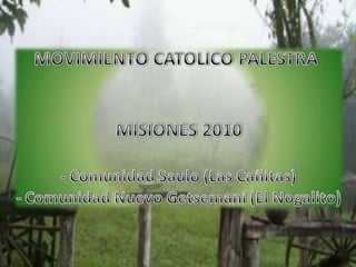 Palestra Tucuman   Misiones Enero 2010