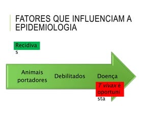 DoençaDebilitados
Animais
portadores
FATORES QUE INFLUENCIAM A
EPIDEMIOLOGIA
FATORES QUE INFLUENCIAM A
EPIDEMIOLOGIA
Recidiva
s
T vivax é
oportuni
sta
 
