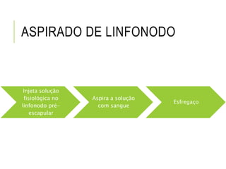 ASPIRADO DE LINFONODO
Injeta solução
fisiológica no
linfonodo pré-
escapular
Aspira a solução
com sangue
Esfregaço
 
