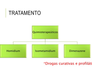 TRATAMENTO
Quimioterapeúticos
Homidium Isometamidium Dimenazene
*Drogas curativas e profiláti
 