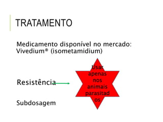 TRATAMENTO
Medicamento disponível no mercado:
Vivedium® (isometamidium)
Resistência
Subdosagem
Usar
apenas
nos
animais
parasitad
os
 