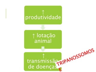 ↑
produtividade
↑ lotação
animal
↑
transmissão
de doenças
 