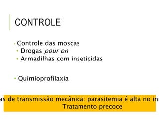 CONTROLE
• Controle das moscas
• Drogas pour on
• Armadilhas com inseticidas
• Quimioprofilaxia
as de transmissão mecânica: parasitemia é alta no iní
Tratamento precoce
 