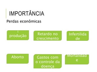 IMPORTÂNCIA
Perdas econômicas
↓
produção Infertilida
de
Aborto
Retardo no
crescimento
Mortalidad
e
Gastos com
o controle da
doença
 
