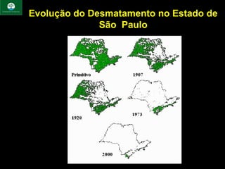 Evolução do Desmatamento no Estado de
              São Paulo
 