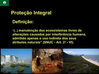 Proteção Integral
Definição:
“[...] manutenção dos ecossistemas livres de
alterações causadas por interferência humana,
admitido apenas o uso indireto dos seus
atributos naturais” (SNUC - Art. 2o - VI).
 