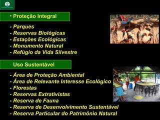 • Proteção Integral

- Parques
- Reservas Biológicas
- Estações Ecológicas
- Monumento Natural
- Refúgio da Vida Silvestre

• Uso Sustentável

- Área de Proteção Ambiental
- Área de Relevante Interesse Ecológico
- Florestas
- Reservas Extrativistas
- Reserva de Fauna
- Reserva de Desenvolvimento Sustentável
- Reserva Particular do Patrimônio Natural
 