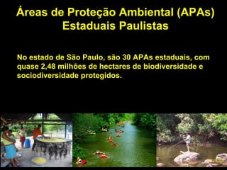 Áreas de Proteção Ambiental (APAs)
        Estaduais Paulistas

No estado de São Paulo, são 30 APAs estaduais, com
quase 2,48 milhões de hectares de biodiversidade e
sociodiversidade protegidos.
 