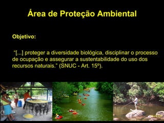 Área de Proteção Ambiental

Objetivo:

 “[...] proteger a diversidade biológica, disciplinar o processo
de ocupação e assegurar a sustentabilidade do uso dos
recursos naturais.” (SNUC - Art. 15º).
 
