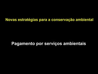 Novas estratégias para a conservação ambiental




   Pagamento por serviços ambientais
 