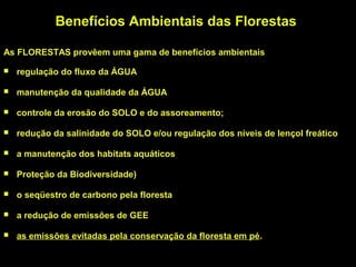 Benefícios Ambientais das Florestas

As FLORESTAS provêem uma gama de benefícios ambientais

   regulação do fluxo da ÁGUA

   manutenção da qualidade da ÁGUA

   controle da erosão do SOLO e do assoreamento;

   redução da salinidade do SOLO e/ou regulação dos níveis de lençol freático

   a manutenção dos habitats aquáticos

   Proteção da Biodiversidade)

   o seqüestro de carbono pela floresta

   a redução de emissões de GEE

   as emissões evitadas pela conservação da floresta em pé.
 