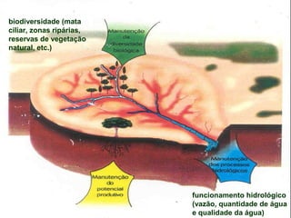 biodiversidade (mata
ciliar, zonas ripárias,
reservas de vegetação
natural, etc.)




                          funcionamento hidrológico
                          (vazão, quantidade de água
                          e qualidade da água)
 