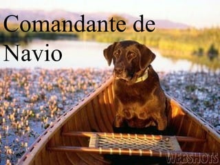 Comandante de
Navio
 