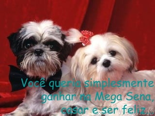 Você queria simplesmente
ganhar na Mega Sena,
casar e ser feliz...
 