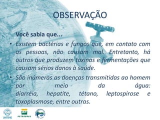 OBSERVAÇÃO	Você sabia que...Existem bactérias e fungos que, em contato com as pessoas, não causam mal. Entretanto, há outros que produzem toxinas e fermentações que causam sérios danos à saúde.São inúmeras as doenças transmitidas ao homem por meio da água: diarréia, hepatite, tétano, leptospirose e toxoplasmose, entre outras.