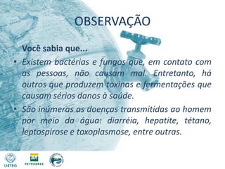 OBSERVAÇÃO	Você sabia que...Existem bactérias e fungos que, em contato com as pessoas, não causam mal. Entretanto, há outros que produzem toxinas e fermentações que causam sérios danos à saúde.São inúmeras as doenças transmitidas ao homem por meio da água: diarréia, hepatite, tétano, leptospirose e toxoplasmose, entre outras.