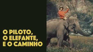 O piloto,
o Elefante,
e o caminho
 
