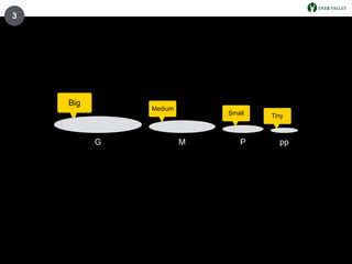 Big
Medium
Small Tiny
3
G M P pp
 