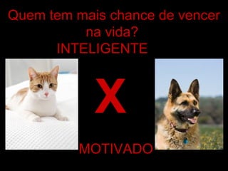 Quem tem mais chance de vencer
na vida?
INTELIGENTE
MOTIVADO
X
 