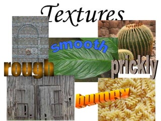 Textures smooth bumpy prickly rough 