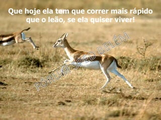 Que hoje ela tem que correr mais rápido
que o leão, se ela quiser viver!
 