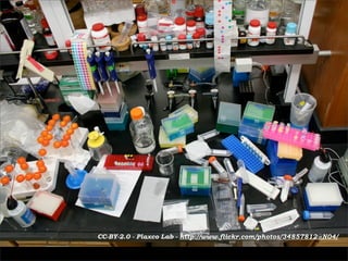 CC-BY-2.0 - Plaxco Lab - http://www.flickr.com/photos/34857812@N04/
 