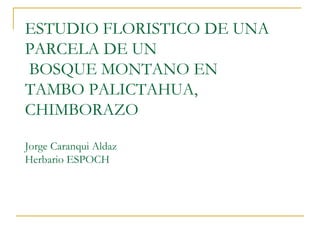 ESTUDIO FLORISTICO DE UNA
PARCELA DE UN
BOSQUE MONTANO EN
TAMBO PALICTAHUA,
CHIMBORAZO
Jorge Caranqui Aldaz
Herbario ESPOCH
 