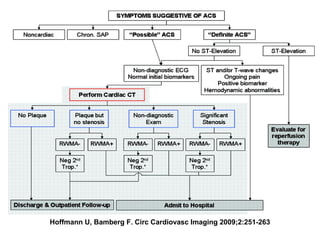 Hoffmann U, Bamberg F. Circ Cardiovasc Imaging 2009;2:251-263
 