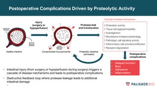 10
Postoperative Complications Driven by Proteolytic Activity
Injury
(surgery or
hypoperfusion)
Compromised mucosal barrier
Healthy intestine
Protease leak
and translocation
↑ Proteolytic activity
↑ Tissue damage/permeability
↑ Autodigestion
↑ Microbiome imbalance/pathology
↑ Pathologic cell signaling activity
↑ Inflammatory cell activation/infiltration
↑ Receptor degradation
• Delayed function
• Ileus
• Adhesions
• Inflammation
Cascade of disease mechanisms
Proteolytic intestinal
permeation
• Intestinal injury (from surgery or hypoperfusion during surgery) triggers a
cascade of disease mechanisms and leads to postoperative complications
• Destructive feedback loop where protease leakage leads to additional
intestinal damage
Postoperative
complications
 