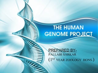 THE HUMAN 
GENOME PROJECT
PREPARED BY-
PALLABI SARKAR
(1ST
YEAR ZOOLOGY HONS.)
 