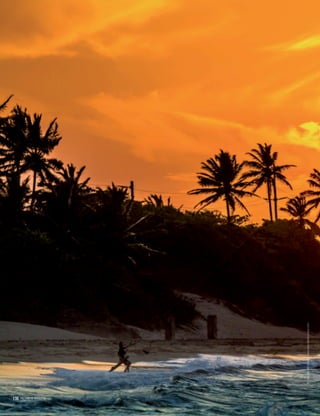 136 PALLADIUM MAGAZINE
©JanWachtmeesterwww.wesharebonaire.com
136 PALLADIUM MAGAZINE
 