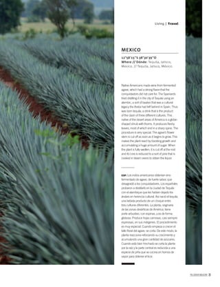 PALLADIUM MAGAZINE 21
Native Americans made wine from fermented
agave, which had a strong ﬂavor that the
conquistadors did not care for. The Spaniards
tried distilling it in the city of Tequila using an
alembic, a sort of beaker that was a cultural
legacy the Arabs had left behind in Spain. Thus
was born tequila, a drink that is the product
of the clash of three different cultures. This
native of the desert areas of America is a globe-
shaped shrub with thorns. It produces ﬂeshy
leaves, most of which end in a sharp spine. The
procedure is very special. The agave’s ﬂower
stem is cut off as soon as it begins to grow. This
makes the plant react by boosting growth and
accumulating a huge amount of sugar. When
the plant is fully swollen, it is cut off at the root
and its core is reduced to a sort of pine that is
cooked in steam ovens to obtain the liquor.
ESP. Los indios americanos obtenían vino
fermentado de agave, de fuerte sabor, que
desagradó a los conquistadores. Los españoles
probaron a destilarlo en la ciudad de Tequila
con el alambique que les habían dejado los
árabes en herencia cultural. Así nació el tequila,
una bebida producto de un choque entre
tres culturas diferentes. La planta, originaria
de las zonas desérticas de América, tiene
porte arbustivo, con espinas, y es de forma
globosa. Produce hojas carnosas, casi siempre
espinosas, en sus márgenes. El procedimiento
es muy especial. Cuando empieza a crecer el
tallo ﬂoral del agave, se corta. De este modo, la
planta reacciona reforzando su crecimiento y
acumulando una gran cantidad de azúcares.
Cuando está bien hinchado se corta la planta
por la raíz y la parte central es reducida a una
especie de piña que se cocina en hornos de
vapor para obtener el licor.
12°58’15’’S 38°30’39’’O
Where // Dónde: Tequila, Jalisco,
Mexico. // Tequila, Jalisco, México.
MEXICO
Living | Travel
 