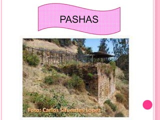 PASHAS
 