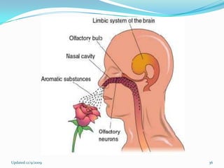 Updated 12/9/2009   36
 