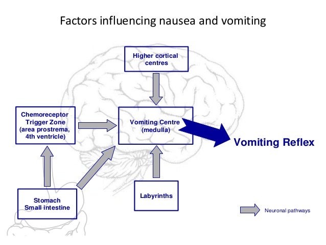 of ventricle 4th parts Palliative Symptom Management