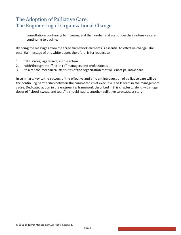 Palliative care essay