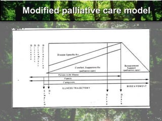 Modified palliative care model
 